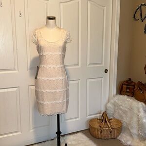 bebe Lace Bodycon in a size Large NWT